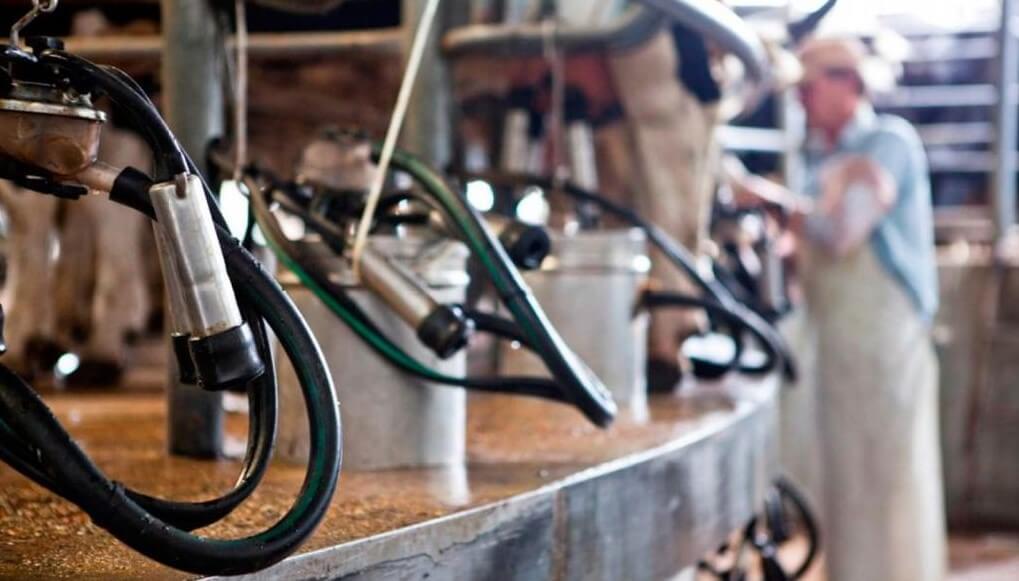 PL-tambo-productividad