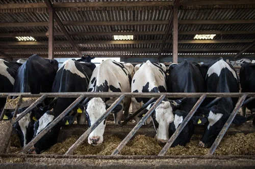 pl-arla foods