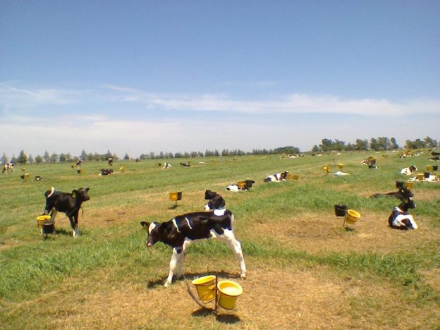 Estancias-La-Dorita-SA-4233-6375-6383-6625-15-012-9-624x468