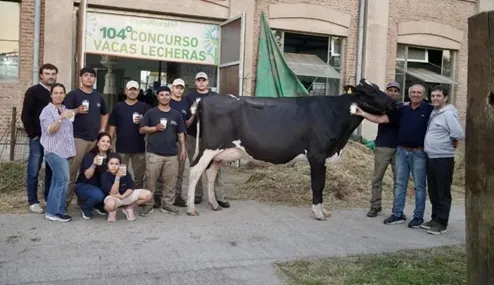 pl-vaca record