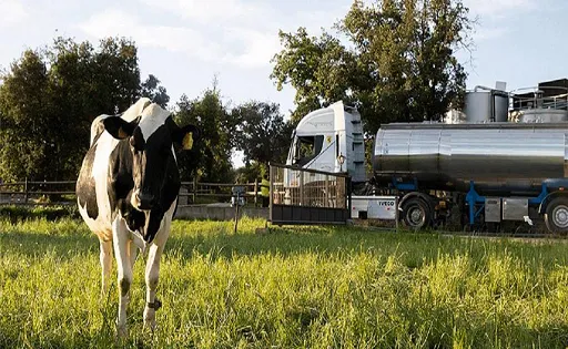 Fedeple-Productores-pierden-125-mil-litros-de-leche-por-dia-de-bloqueo-en-Cochabamba-y-la-falta-de-combustible