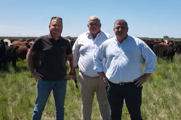 PL-AGUA SIEMPRE HAYMAN