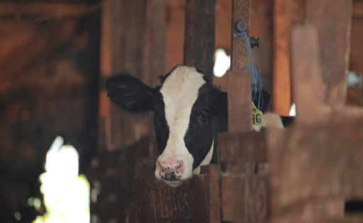 resaltan-el-potencial-paraguayo-e-instan-a-reforzar-la-capacitacion