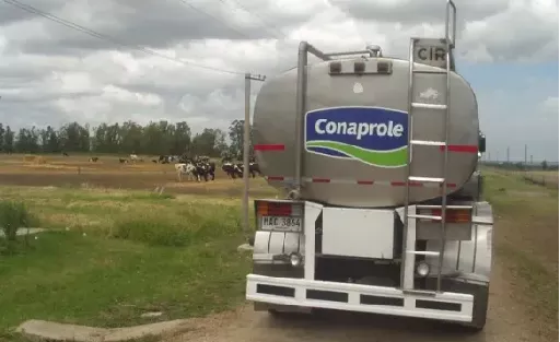 PL-Conaprole