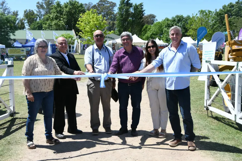 WhatsApp Image 2024-10-20 at 17.52.34