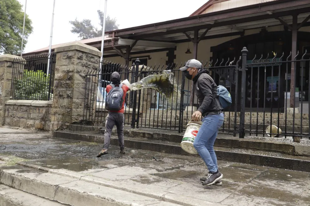 WhatsApp-Image-2024-10-23-at-2.40.05-PM-990x659