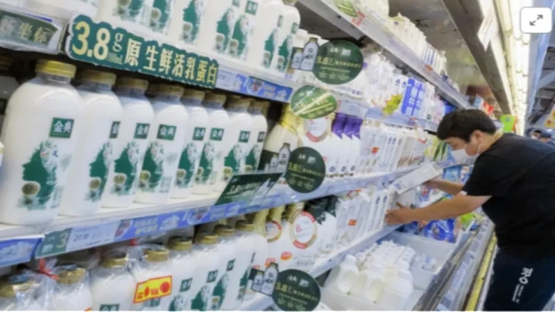 pl-leche china