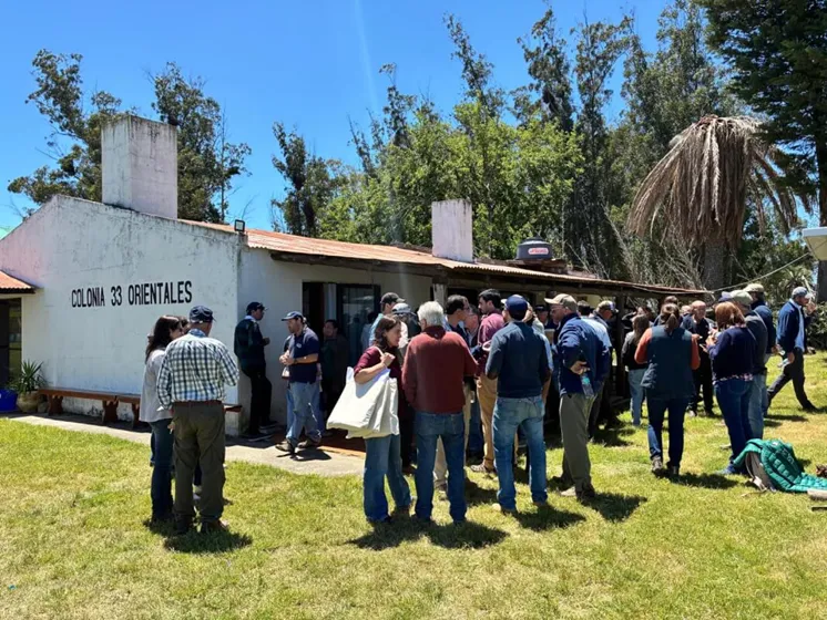 WhatsApp-Image-2025-11-07-at-11.02.50-AM