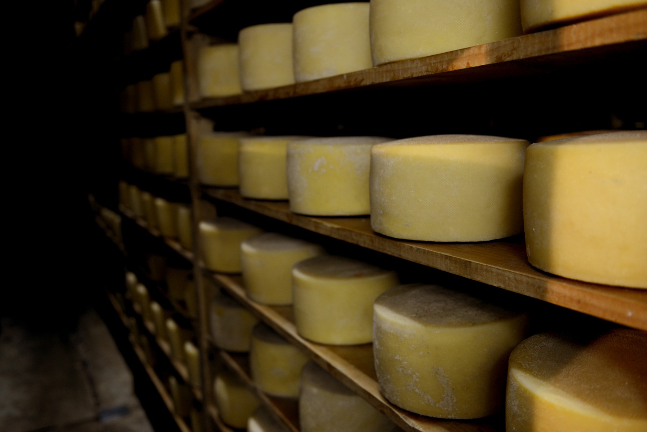 multimedia.normal.8c8c4c79978090b5.576861747341707020496d61676520323031392d30322d30372061742031372e5f6e6f726d616c2e6a706567