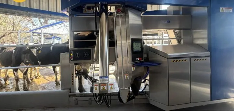 tambo-robotizado-7-768x366