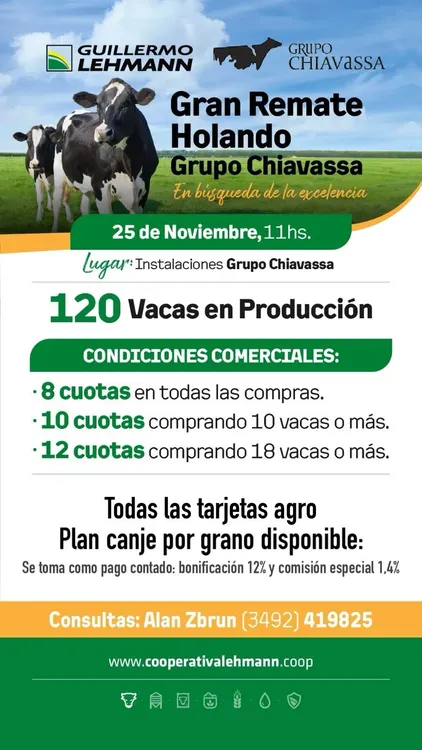 WhatsApp Image 2025-11-20 at 21.34.31