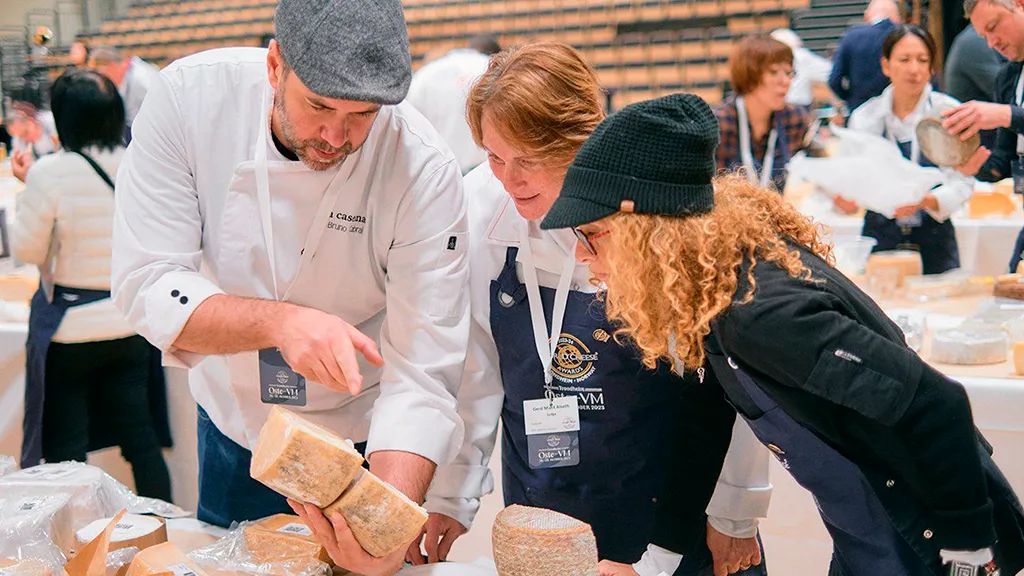 whatsapp_image_2025-10-29_at_11.27.12_b