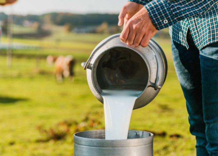 PL-Mexico aumento leche-750x536
