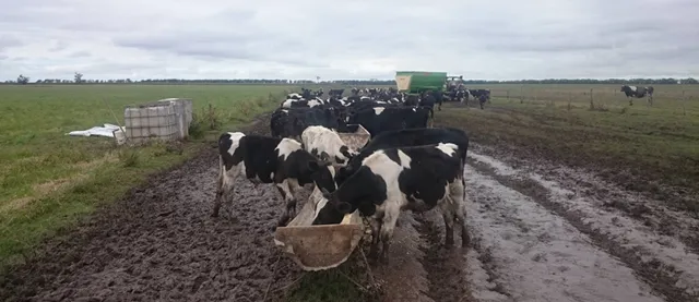 pl-tambo inundaciones