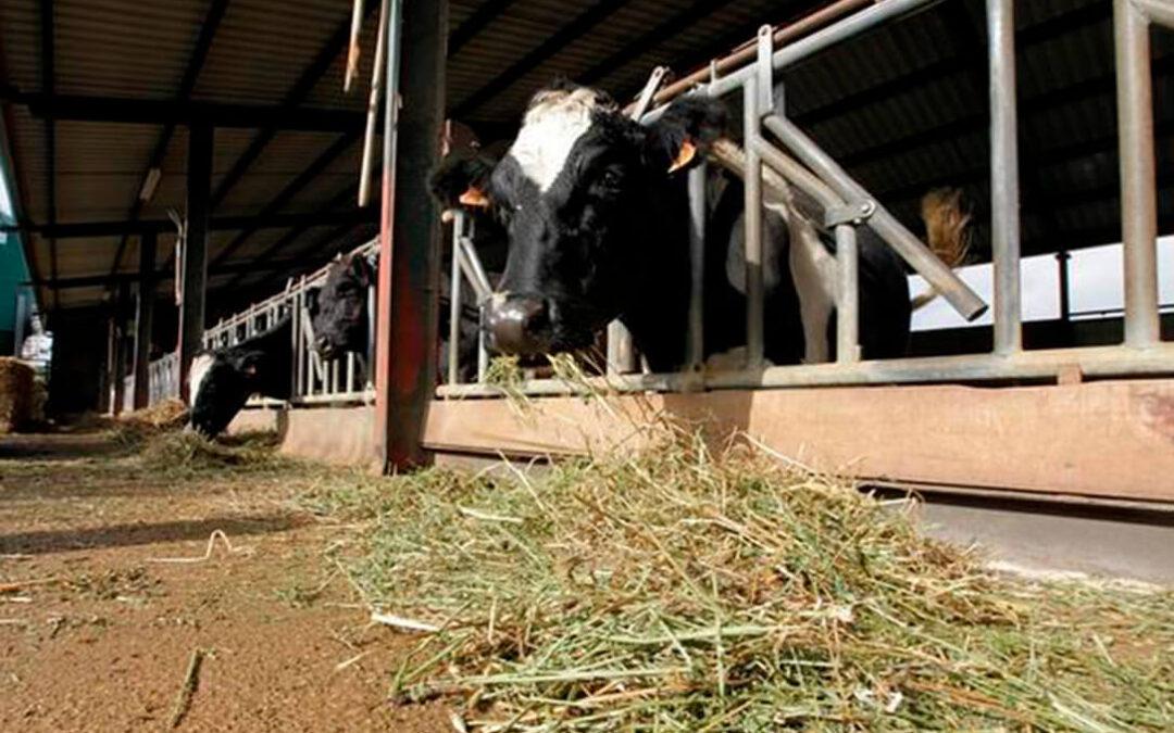 pl-nueva denuncia por la fuente presion de la industria