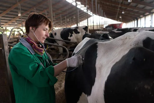 Boehringer_AnimalCare_