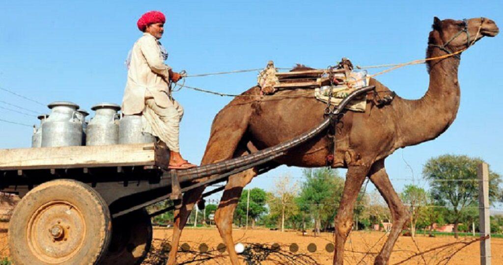 lecheriaIndia-1024x540