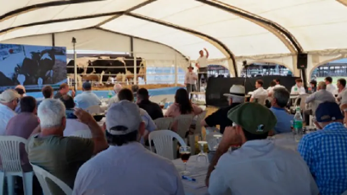 pl-Remate-Chiavassa-Nov2025