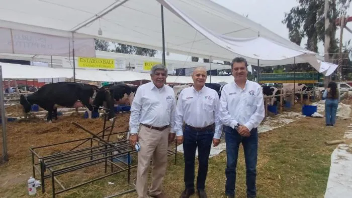 1038712-65ea37a7-1803-4a2d-9613-04b9e346a131